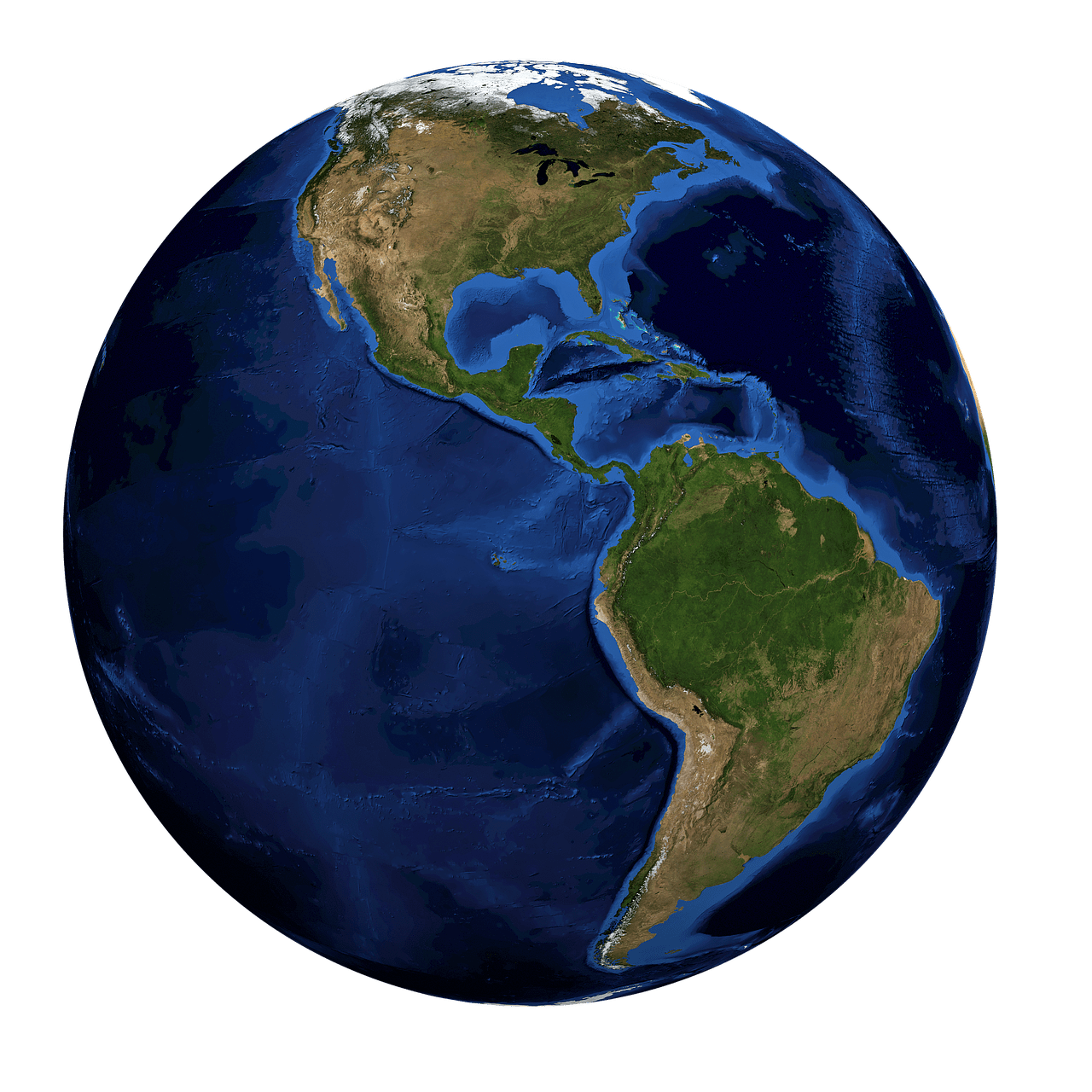 Journée mondiale des animaux